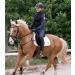 WALDHAUSEN Breastplate with Safety Reins Secutrust - VB/WB Black | Shop Internationally - Buy Online on GoSupps.com