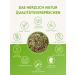 Organic Horsetail Tea 100g - 100% Pure Herbal Loose Cut Tea | Field Horsetail for Wellness | Free International Shipping - Buy Online on GoSupps.com