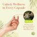 LB CORE Protocol Capsules 550 mg 336 Capsules Made in USA Herbal Blend with Japanese Knotweed Cat s Claw Andrographis Sarsaparilla & Dandelion Non-GMO Gluten-Free Vegetarian* - Buy Online on GoSupps.com