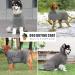 Dolahovy Dog Bathrobe Towel | Microfiber Rapid Dry for Small to XL Dogs | Super Soft & Absorbent Dog Robing Mantel in Gray - Buy Online on GoSupps.com
