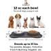 Canple Stainless Steel Dog Bowl with No-Spill Silicone Mat - 12 oz - Non-Skid, Strong Suction Cup - Waterproof Pet Feeder for Small, Medium, Large Dogs - Black - Buy Online on GoSupps.com