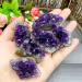 Natural Crystal Rough Natural Stone Natural Raw Amethyst Cluster Quartz Purple Crystal Cluster Stone Home Decoration Crafts Decoration Ornament (Color : Amethyst Cluster Size : 95 120g) 95 120g Amethyst Cluster - Buy Online on GoSupps.com