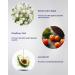CELENES by Sweden - Cloudberry Intensive Hand Cream Alcohol-free Fragrance-Free and Paraben Free All Skin Types - 75 ml - Buy Online on GoSupps.com