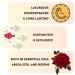 Arabian Horse - Dark Vanilla Perfume Oil 0.47 oz 14 ml - Buy Online on GoSupps.com