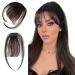 Allyreetress Clip in Bangs Clip in Hair Extensions Clip on Bangs Wispy Bangs Fringe with nice net Natural Flat neat Bangs Temples Hairpieces for Women Curved Bangs for Daily Party (Black Brown) Black Brown#
