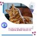 Revive Active - Feline Vitamins Chewable Tablet 124ct Multivitamin & Mineral Supplement for Cats - All-in-one multivitamin to support your cat's health and wellness. - Buy Online on GoSupps.com