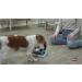 Trixie Poker Box Vario 2 - Interactive Dog Intelligence Toy | 32x17cm | Engaging Strategy Game for Dogs - Buy Online on GoSupps.com