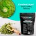 Nature Diet Prot ine de Chanvre | 500 g | Prot ine V g tale en Poudre | Riche en Fibres | Vegan Sans Gluten & Sans Lactose | Id ale pour Smoothies Shakes & P tisserie 500g - Buy Online on GoSupps.com