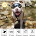 Tsathoggua Dog Goggles Dog Sunglasses with Elastic Strap UV Pet Goggles Protect Dog's Eyes for UV Wind Dust and Fog Medium/Large Breed - Buy Online on GoSupps.com