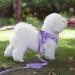 Buy Medium Purple Padded Dog Harness | Ideal Puppy & Small Dog Harness | Comfortable & Adjustable - Buy Online on GoSupps.com