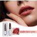 Matte Lipstick | Moisturizing Makeup Lipstick: Non-sticky dual-color lip gloss long-lasting moisturizing lipstick for healthy lips - Buy Online on GoSupps.com