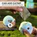Buy PUPPBUDD Interactive Cat Toy with Catnip - Electric Sound Ball for Cats | Blue - International Shipping Available - Buy Online on GoSupps.com