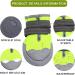 Medium and Large Dog Boots for All-Weather Protection | Waterproof, Anti-Slip, and Durable | 4-Piece Set in Green #8 | Ideal for 74-90 lbs Dogs - Buy Online on GoSupps.com
