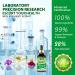 Love Life Supplements Kava Kava Root Extract Supplement High Concentration Kava Extract Drops for Relaxation Vegan Non-GMO Gentle Formula for Sleep 2 Fl Oz - Buy Online on GoSupps.com