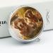 Round Pill Box with Golden Retrievers Print - 3 Compartment Decorative Metal Pill Organizer - Portable Pocket Pill Case - Buy Online on GoSupps.com