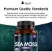 Sea Moss Tablets Extract 2000mg - High Strength Supplement 365 Tablets - Vegan & Non GMO - UK Made - 365 Count - Buy Online on GoSupps.com
