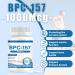 BPC 157 Peptide Capsules - 1000mcg 60 Capsules BPC-157 Protective Compound for Muscle Workout Recovery Non-GMO Dairy Free Gluten Free - Buy Online on GoSupps.com