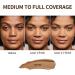 FV Waterproof and long-lasting foundation lightweight and flawless oil-controlling foundation ideal for oily skin (Classic Ivory 30g) - Buy Online on GoSupps.com