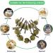 Barley Ears Kachtiele for Rabbits & Hamsters | Natural Chew Toys with Apple Wood Sticks - 2PCs for Healthy Teeth - Buy Online on GoSupps.com