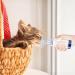 Buy Spacers for Cat Inhalators - Professional Aerosol Chambers for Cats & Dogs | Easy Medication Delivery - Buy Online on GoSupps.com