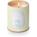 ILLUME Petite Patisserie Tarte Au Citron Tin Candle - Luxurious Scented Candle for Home Decor | Shop Internationally - Buy Online on GoSupps.com