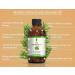 SVA ORGANICS Pine Needle Essential Oil 4 OZ - 100% Pure Therapeutic Grade for Skin & Hair Care - Buy Online on GoSupps.com
