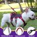 Multi-Purpose Dog Harness for All Sizes - Outbreak-Proof with Leash Set | Ideal for Small Medium & Large Dogs - Yellow (L) - Buy Online on GoSupps.com