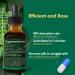 Horsetail Hair Skin & Nail Liquid Drops Cola de Caballo Biotina y Romero Vitaminas Gotas para el Cabello U as y Piel Hair Growth Supplements for Women w/Rosemary Extract. 2oz Original 2 Fl Oz (Pack of 1) - Buy Online on GoSupps.com