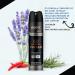 ABOVE 48 Hours Element Antiperspirant Deodorant Spray Vulcan 3.17 oz - Deodorant for Men - Sage Pink Pepper Basil Notes - Dry Spray - No Stains (Pack of 2) - Buy Online on GoSupps.com