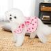 Shop Shenrongtong Dresses for Small Dogs | Strawberry Print Party Dress & Cute Puppy Clothing for Girls - XL Sizes Available - Buy Online on GoSupps.com