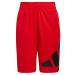 adidas Boys' Big Aeroready Elastic Waistband Performance Shorts 14-16 Better Scarlet