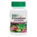 NaturesPlus Herbal Actives Gymnema Sylvestre - 300 mg - Ayurvedic Botanical Supplement - 60 Vegan Capsules (60 Servings)