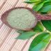 SVATV Natural Henna Hair Color with 9 Herbs | Eco-Friendly Mehndi for Vibrant Hair | 227g | 100% Natural Hair Dye - Buy Online on GoSupps.com