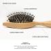 Bestool Small Travel Hair Brush for Women, Men, and Kids - Wooden Boar Bristle Brush for Detangling, Defrizzing, and Oil Distribution - Buy Online on GoSupps.com
