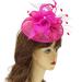 AJOIDR Feathered Flapper Hair Clip 1920s Prom Dancer Headpiece for Special Event Wedding Engagement Night Headwear Hair Styling Hot Pink