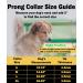 Acrylicc Dog Prong Training Collar Adjustable Dog Choke with Quick Release Snaps and Comfort Tips for Small Medium and Large Dogs (X-Large 4.0mm 23.6" 18-22" Neck Black) X-large 4.0mm - Buy Online on GoSupps.com