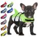 Alagirls small life jacket for dogs ripstop shark dog lifeburst for swimming adjustable puppy flotation coat pet rescue vest with high buoyancy aladlj001 Greenn XS XS: 33-43cm (chest circumference) green gray