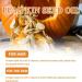 Pumpkin Seeds Oil Pumpkin Seed Oil For Hair Pumpkin Seed Oil Cold Pressed Skin Care Suitable For Men Women Pumpkin Seed Oil For Hair Face Nails Body Skin Pumpkin Seed Oil Pumpkin Oil - Buy Online on GoSupps.com