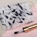 Replacement Nail Polish Brush Kit - 25pcs Disposable Nail Art Brush Set with Handle & Soft Bristles for Dip Powder & Liquid - Buy Online on GoSupps.com
