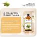 EUQEE Cedarwood Essential Oil 118ml - Pure Natural Aromatherapy Diffuser Oil for Home Relaxation - Buy Online on GoSupps.com