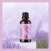 Premium Lavender Essential Oil for Hair, Skin, and Nails - Aromatherapy for Diffusers, Humidifiers, and Linens - Natural Bath Oil for Home Spa Self Care - Buy Online on GoSupps.com