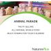 Nature's Plus Animal Parade Children's Chewable Multi-Vitamin & Mineral Supplement - Cherry Flavor, 90 Tablets - Buy Online on GoSupps.com