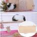 Buy Durable Wood Platform for Pets | 13x28 cm Squirrel & Hamster Stand | Ideal Parrot Cage Wooden Stand - Buy Online on GoSupps.com