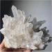 Crystal Rough 1pc Natural Rare White Quartz Crystal Cluster Specimen Decoration (Size : 450-500g) - Buy Online on GoSupps.com