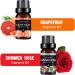 Organic Holiday Breeze Scent Gift Set - 6pc Essential Oils for Candle Making, Soap, Slime - Aromatherapy & Car Freshener - 10mL, 6-Pack - Buy Online on GoSupps.com
