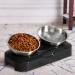 Jemirry Elevated Cat Bowl - Anti-Vomiting 15 Tilted Raised Stainless Steel Pet Bowls with Non-Slip Stand - Prevents Cat and Dog Vomiting, Protects Spine - Dishwasher Safe - Set of 2 Bowls - Buy Online on GoSupps.com