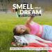 DEMETER Grass Roll On Perfume Oil 0.33 Oz Long-Lasting - Buy Online on GoSupps.com