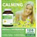 St. John's Wort 900mcg Hypericin - 120 Capsules | Non-GMO Extract Supplement 500mg - Oil-Free Formula - Buy Online on GoSupps.com