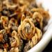 Th noir de Chine th m r Yunnan Golden Bud d'escargot Dian Hong Th noir Th cuit th Th rouge Aliments verts(50) 50.0 Grammes - Buy Online on GoSupps.com
