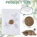 100 pcs Pre-Folded Vellum Jackets Set for 5x7 Invitations with Wax Seal Stickers - Wedding/Birthday/Baby Shower Envelope Seals - Buy Online on GoSupps.com